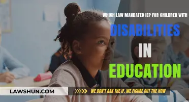 The Law Ensuring IEPs for Disabled Students in Education