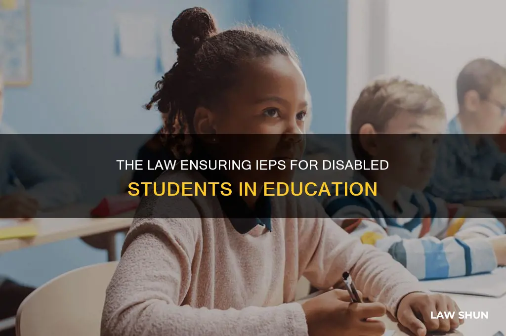 which law mandated iep for children with disabilities in education