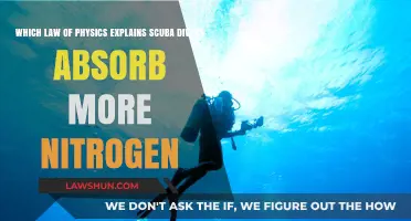 Nitrogen Absorption in Scuba Divers: Explained by Physics Laws