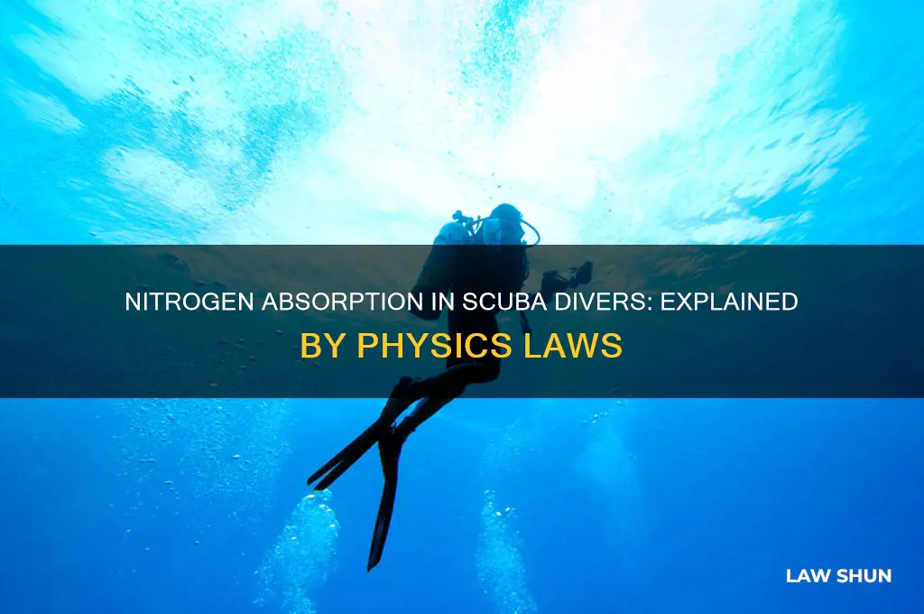 which law of physics explains scuba divers absorb more nitrogen
