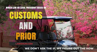 Customs and Precedents: Shaping Modern Law Through Historical Practices