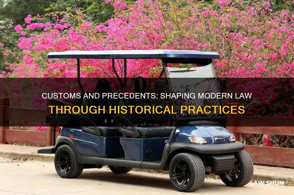 which law or legal precedent based on customs and prior