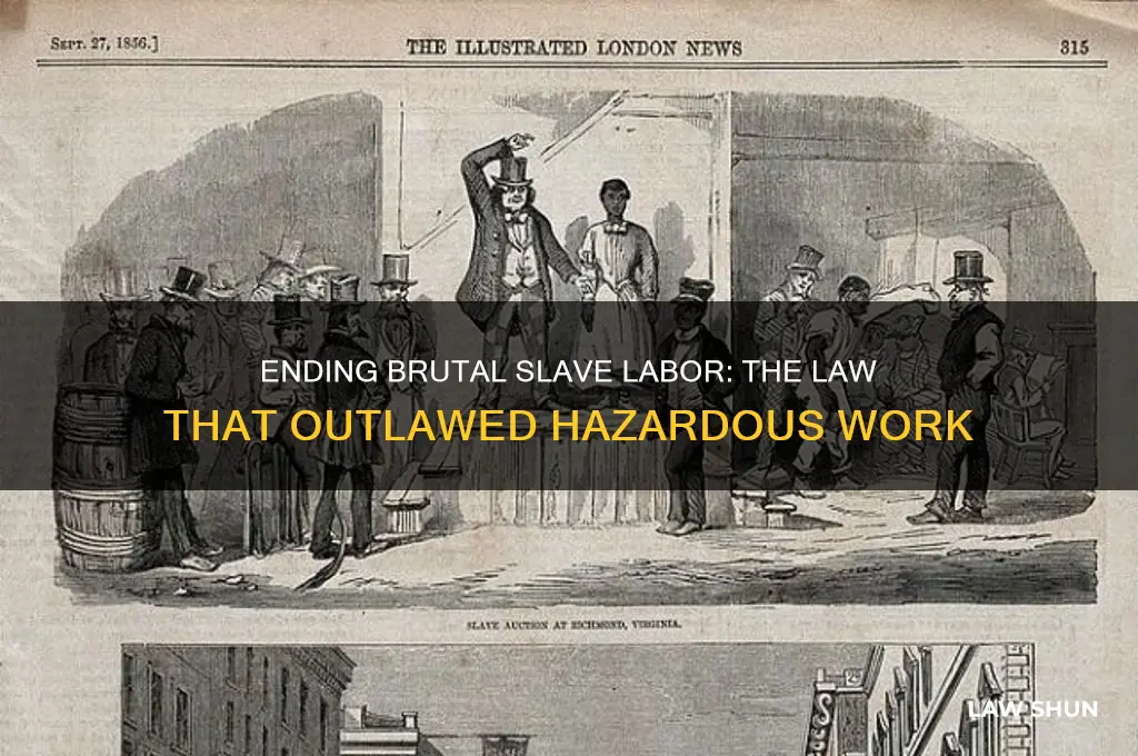 which law outlawed dangerous manual labor for slaves