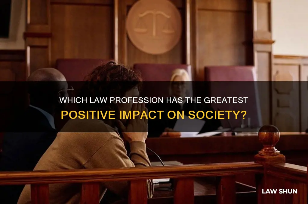 which law profession helps the most people
