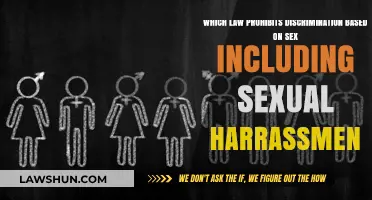Understanding Title VII: The Law Against Sex Discrimination and Harassment