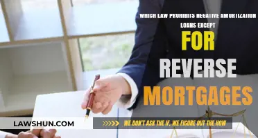 Understanding the Law Banning Negative Amortization Loans (Except Reverse Mortgages)