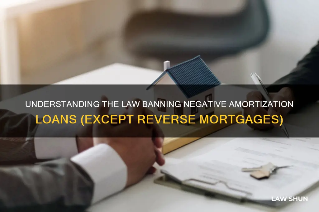 which law prohibits negative amortization loans except for reverse mortgages