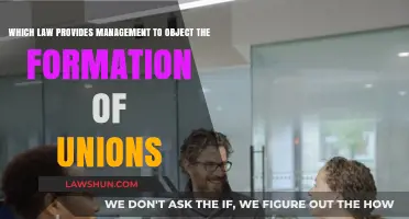 Legal Framework: Management's Right to Challenge Union Formation Explained