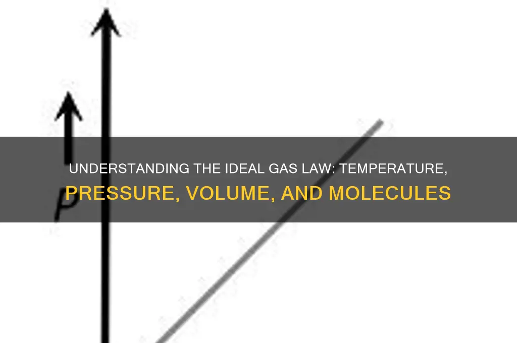 which law relates temperature pressure volume and the number