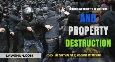 The Devastating Impact of the Controversial Law on Society
