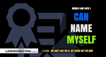 The Law of Self-Naming: Your Right to Choose