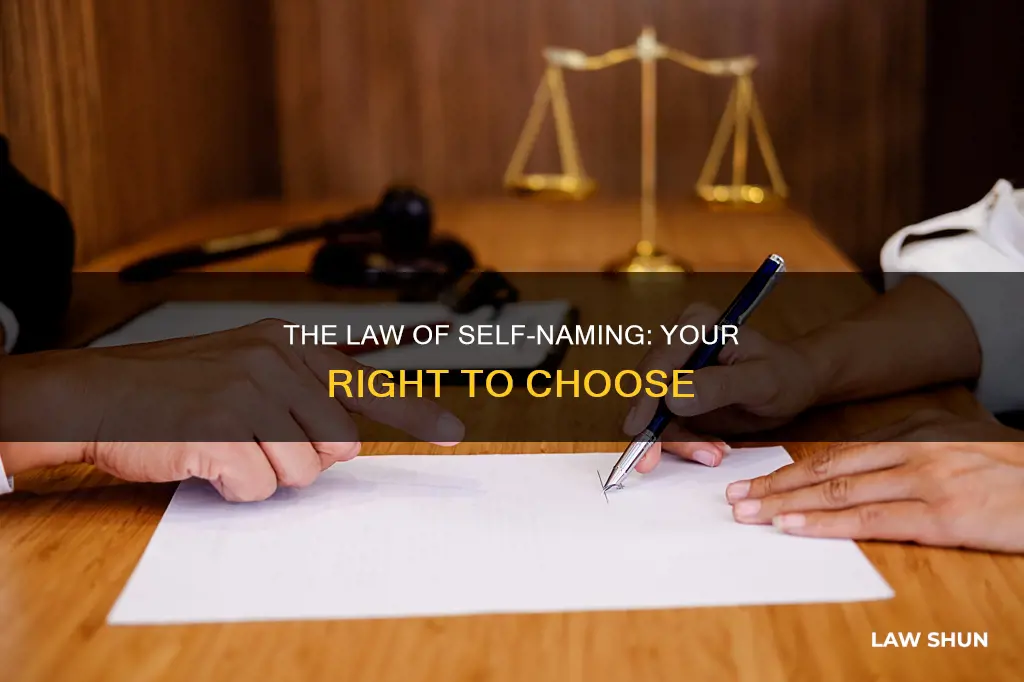 which law says i can name myself