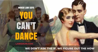 Dancing Laws: Banning Grooves and Moves