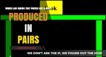 Newton's Third Law: Understanding Forces in Pairs