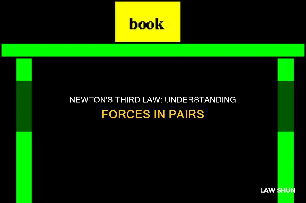 which law shows that forces are always produced in pairs