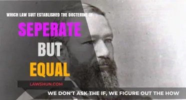Plessy v. Ferguson: The Landmark Case Establishing Separate but Equal