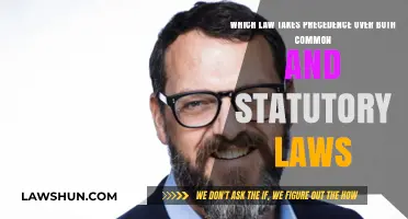 The Supreme Law: Precedence and Power