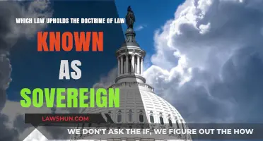 Understanding the Legal Framework Upholding the Doctrine of Sovereign Immunity