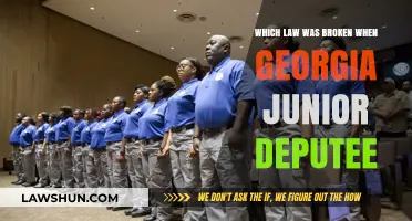 Georgia Junior Deputy's Actions: Unraveling the Broken Law and Consequences