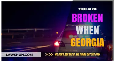 Georgia's Legal Breach: Unraveling the Violated Law and Its Implications