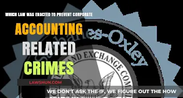 Preventing Corporate Fraud: The Law Enacted to Stop Accounting Crimes