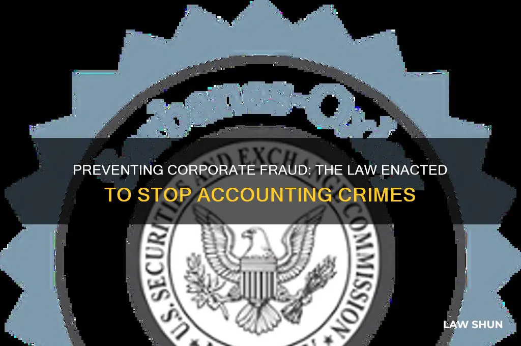 which law was enacted to prevent corporate accounting related crimes