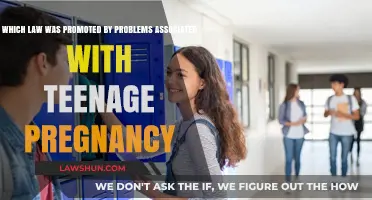 Addressing Teenage Pregnancy: The Legal Framework Behind Prevention Efforts