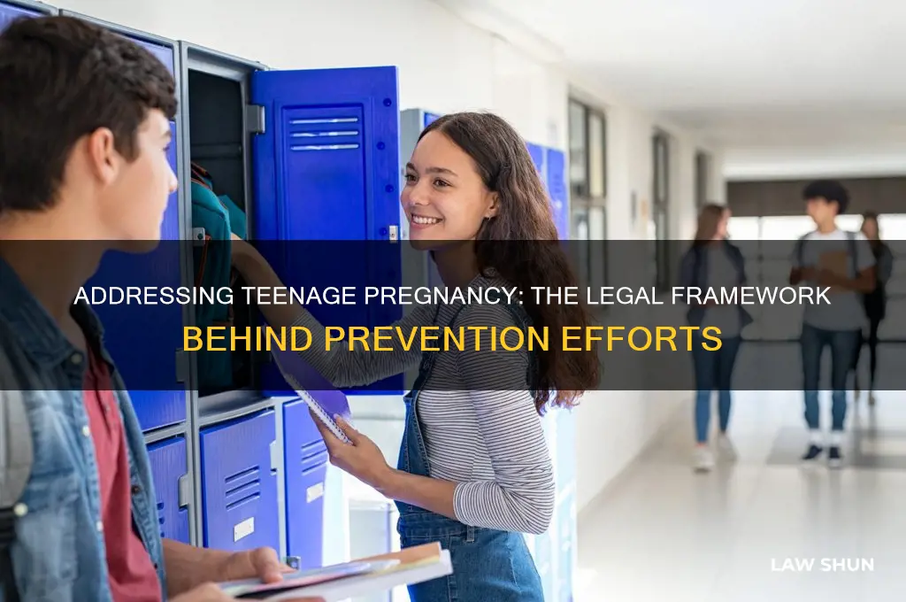 which law was promoted by problems associated with teenage pregnancy