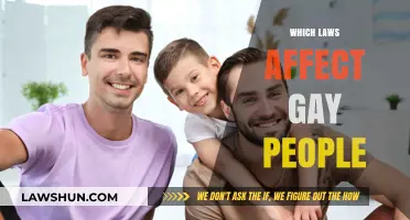 Understanding Legal Protections and Challenges for LGBTQ+ Individuals Today