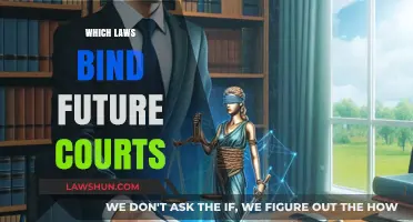 Binding Precedents: How Past Laws Shape Future Court Decisions