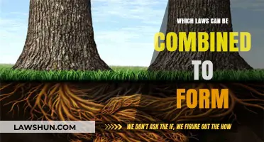 Combining Laws: A Powerful Blend for Success