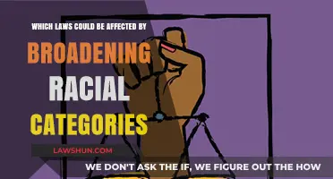 Broadening Racial Categories: Potential Legal Impacts and Policy Implications