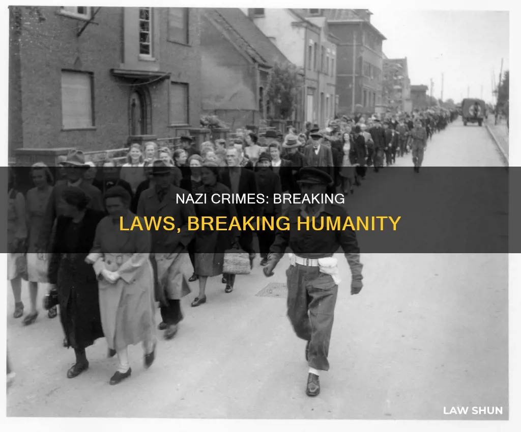 which laws did the nazis break from their crimes