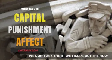 Capital Punishment's Legal Impact: Exploring Laws and Consequences