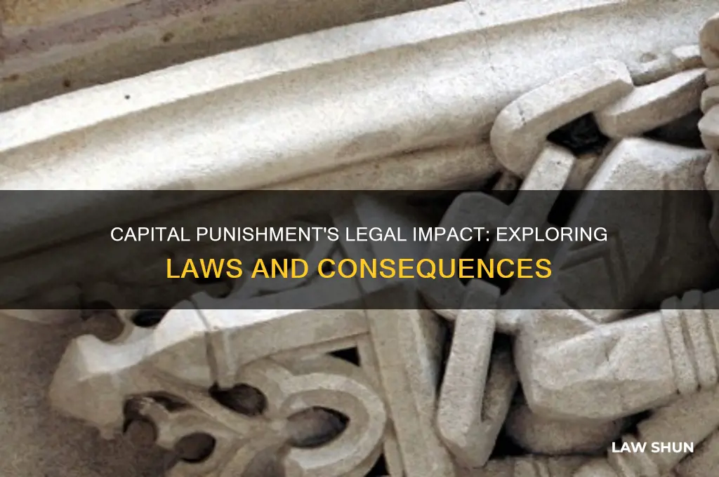 which laws do capital punishment affect