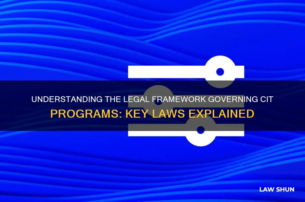 which laws do cit programs folow