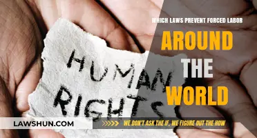Global Legal Protections Against Forced Labor: Key Laws Explained