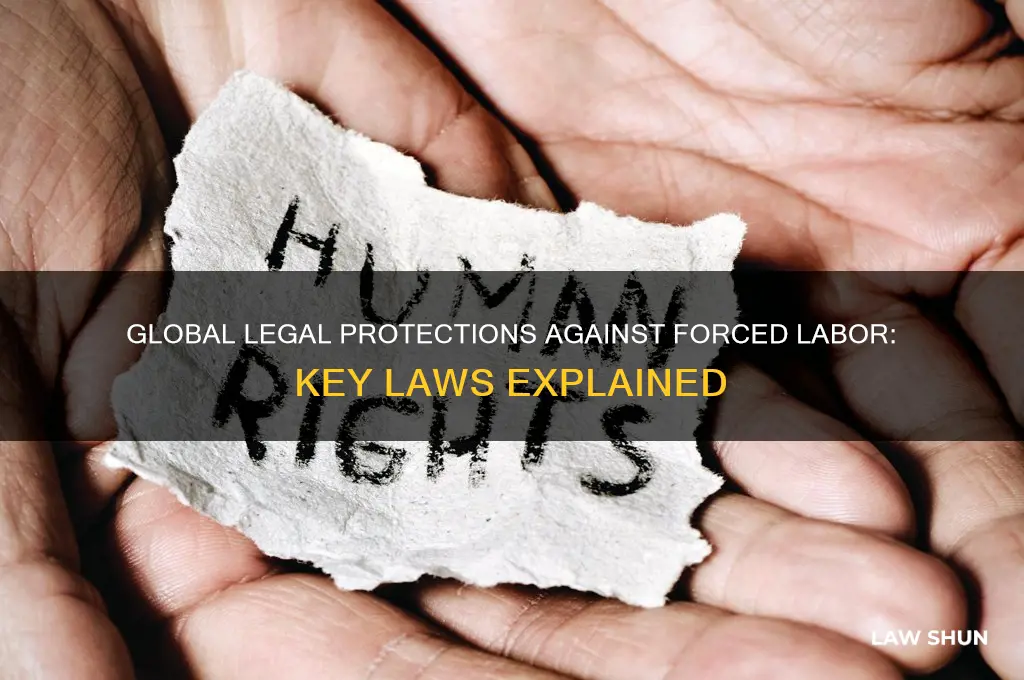 which laws prevent forced labor around the world