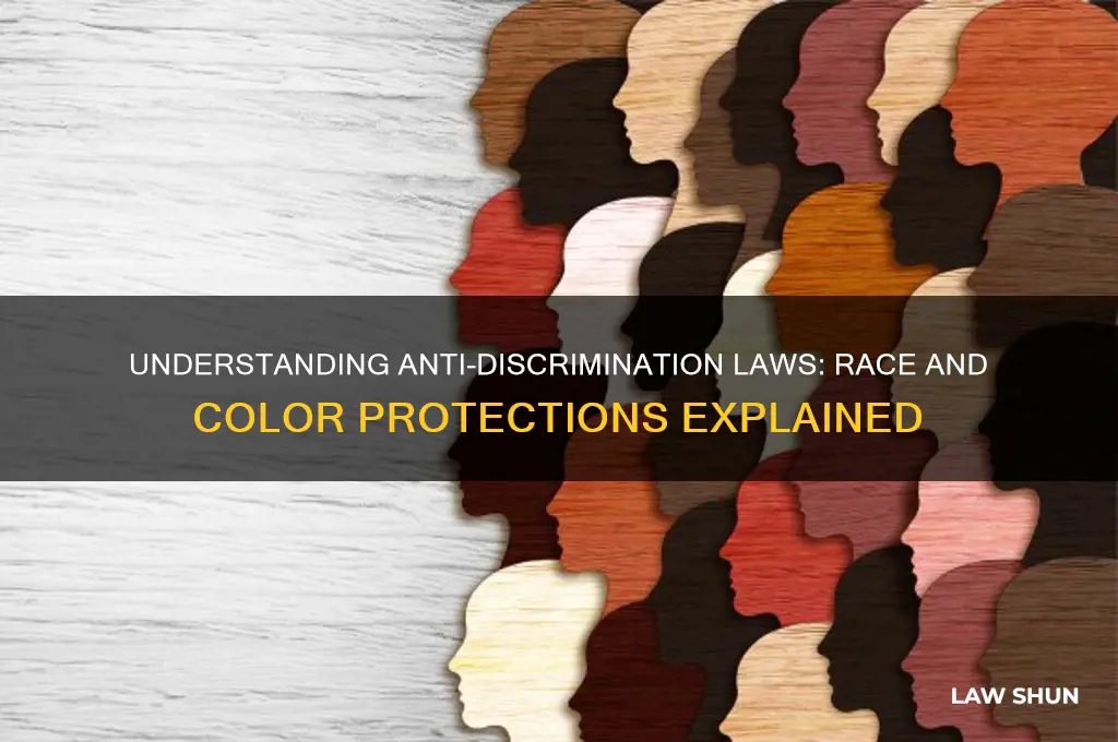 which laws prohibits any discrimination based on race or color