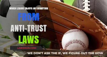 The Surprising Exemption: Which Sports League Skirts Anti-Trust Laws?