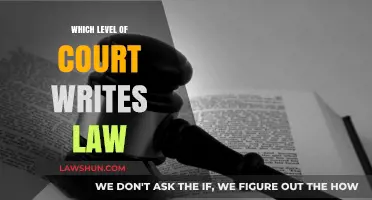 Understanding Judicial Lawmaking: Which Court Level Writes the Laws?