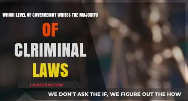 Who Holds the Pen? Understanding Criminal Law Legislation Levels