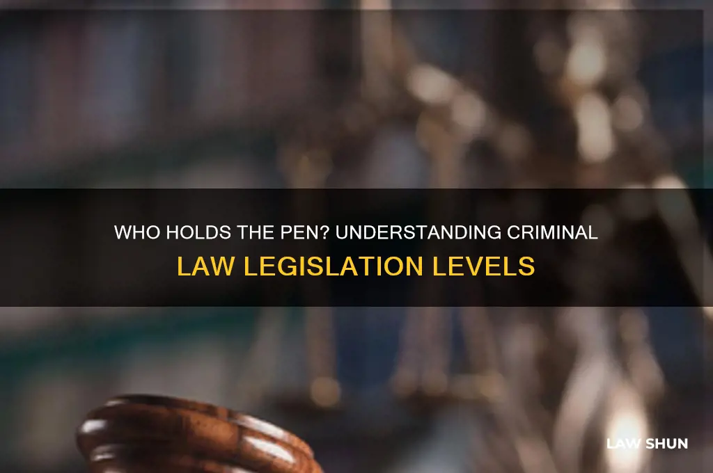 which level of goverbemnt writes the majoritu of clriminal laws