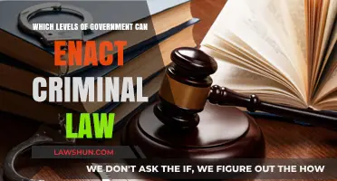 Criminal Law Enactment: Federal, State, and Local Powers