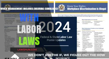 Navigating Labor Laws: Essential Compliance Strategies for Effective Management