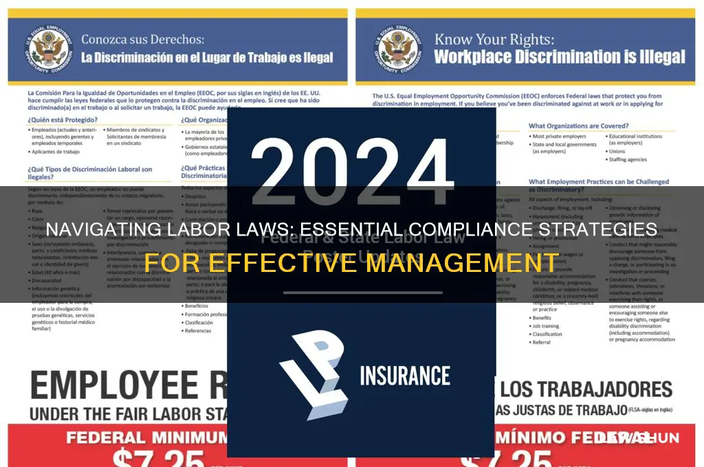 which management includes ensuring compliance with labor laws