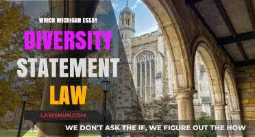 Michigan Law School Essay: Crafting a Compelling Diversity Statement