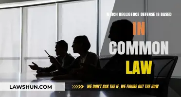 Common Law Negligence Defenses: Understanding the Basics