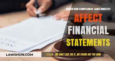 Non-Compliance Laws Impacting Financial Statements: Key Regulations Explained