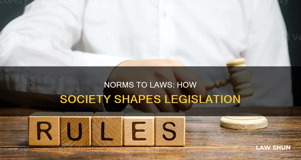 which norms have become laws